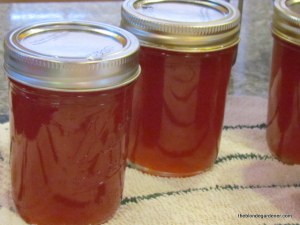wild plum jelly canning
